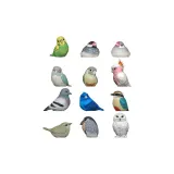 Полный набор 12 шт