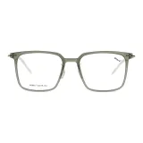 C17 Полынь Зеленая