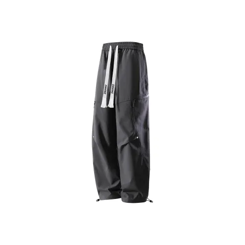 ZWWWZ Унисекс Повседневные Брюки