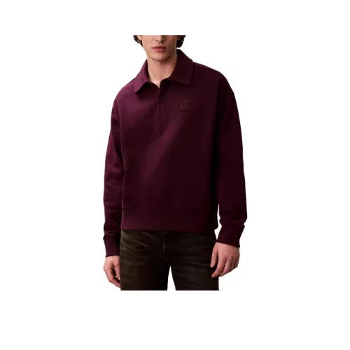 Calvin Klein Сливовый Мужской Поло