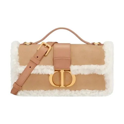 DIOR Логотип Этикетка Сумка Мини Женская Многоцветная