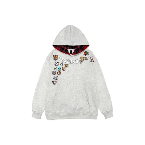 TESTUNG Унисекс Свитшоты