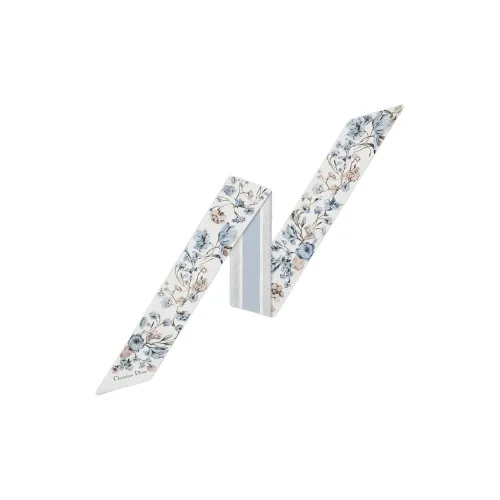 DIOR Шелковые шарфы из саржи унисекс синий белый