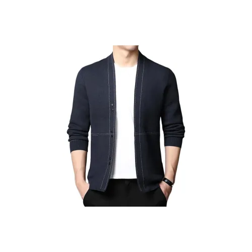 PIERRE CARDIN Одежда Топ Свитер Мужской