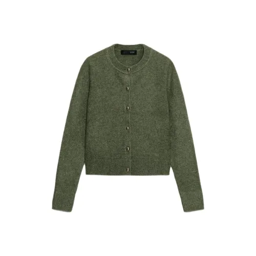 ZARA Collaboration Зебра С принтом Зеленый Женский Трикотаж