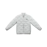 Слоновой серый