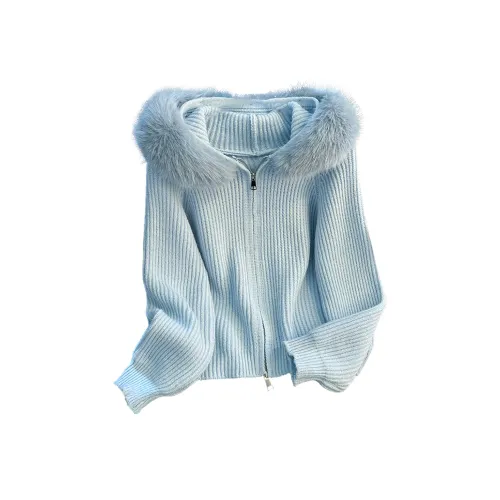 LSFJ CC Женская трикотажная одежда