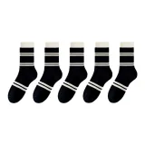 5 Шесть Полос