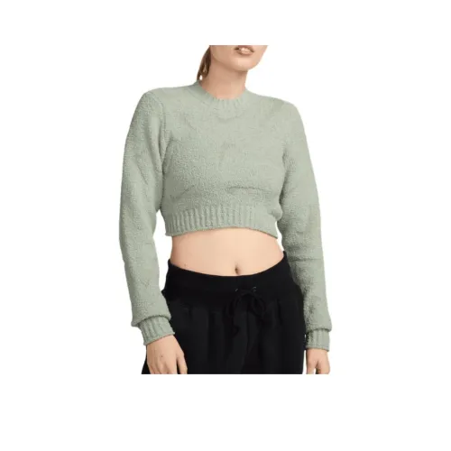 Nike Светло-серый зеленый Женские Свитеры
