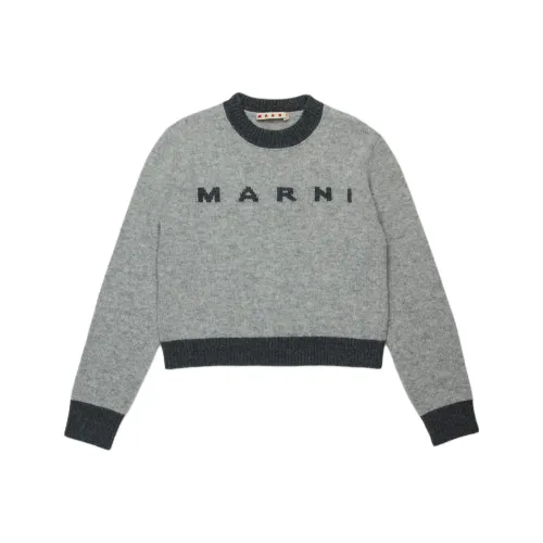 MARNI Серый Смешанный цвет Детские Свитера
