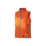 Золотисто-оранжевый