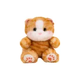 Золотистый градиент, кошка