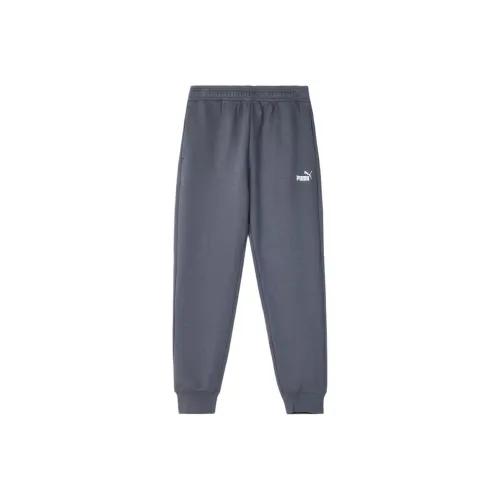 PUMA ESS Relaxed Брюки DK Повседневные брюки Мужские