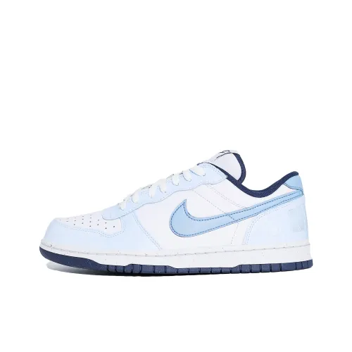 Nike BIG Амортизация Износостойкие Низкие Кроссовки для скейтбординга Мужские Синие