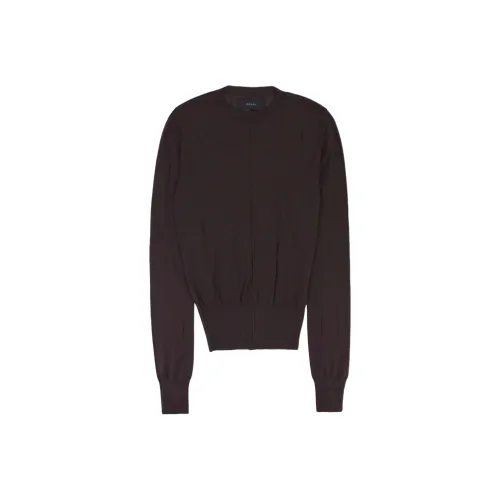 AMIRI Коричневые Женские Свитера