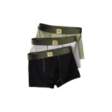 [3 упаковки] Фарфоровый бежевый зеленый + светло-серый фотиния + обсидиановый черный