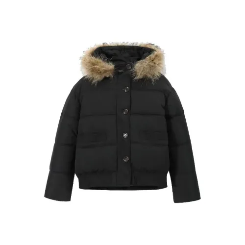 EMDPN Хлопковый пуховик Пальто Женское