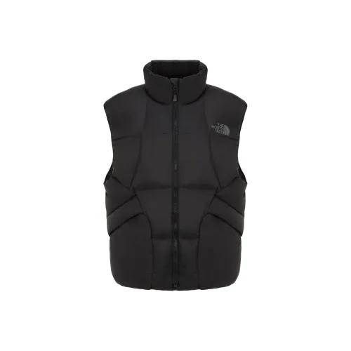 The North Face Черный Мужской Пуховый жилет