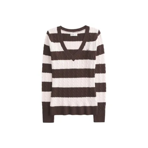 Hollister Коричневые Женские T-рубашки