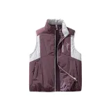 Сливовое вино