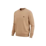 Верблюжий цвет