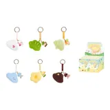 Коробка из 6 штук (не повторяющихся) (определить и снять пластиковый фильм)