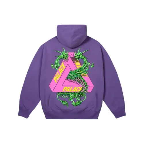 PALACE FW25 DRAGON BONES TRI HOOD Sweatshirt Unisex