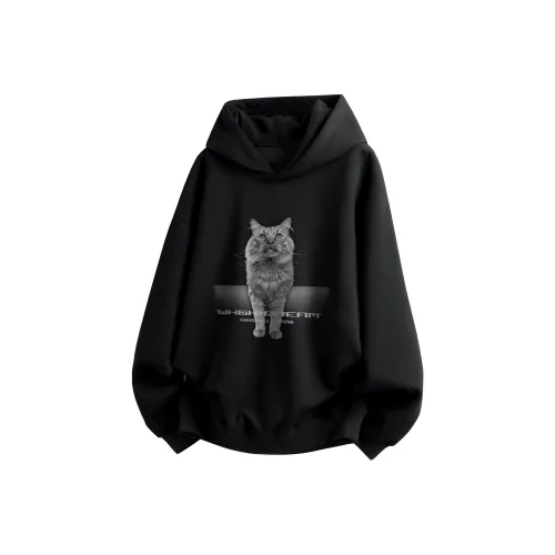 WXEX Унисекс Свитшоты