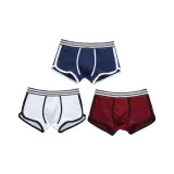 3 шт Цветовая схема Бесплатно (Оставить Записку)