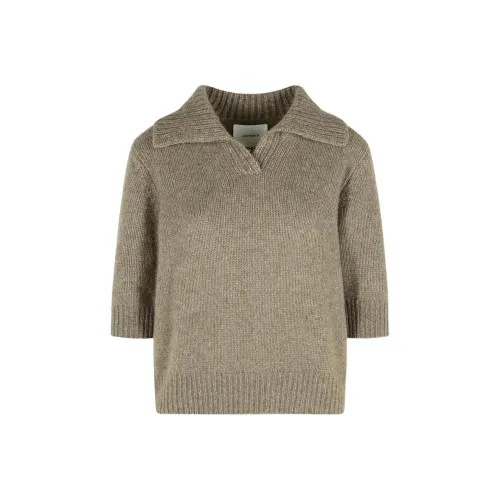 Lisa Yang Коричневые Женские Свитера