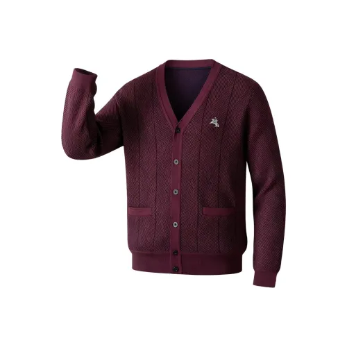 POLOMEISDO Унисекс Свитера