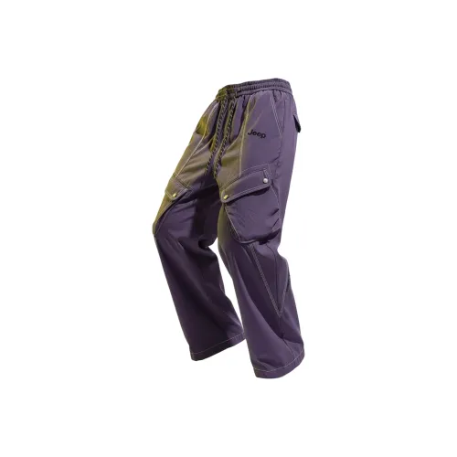 Jeep Wrangler Leisure Series Повседневные брюки Унисекс