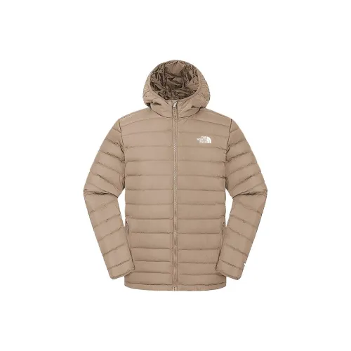 The North Face Пуховики и зимние пальто Мужской