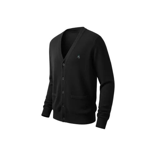 POLOMEISDO Унисекс Свитера