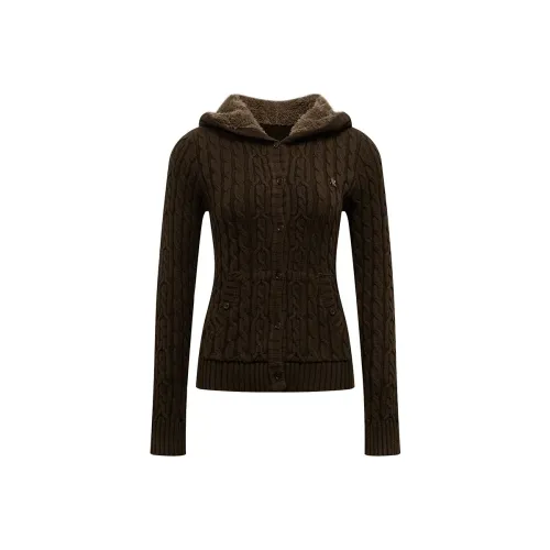 Ariseism Темно-коричневые женские свитера