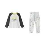 Серый тон 00322