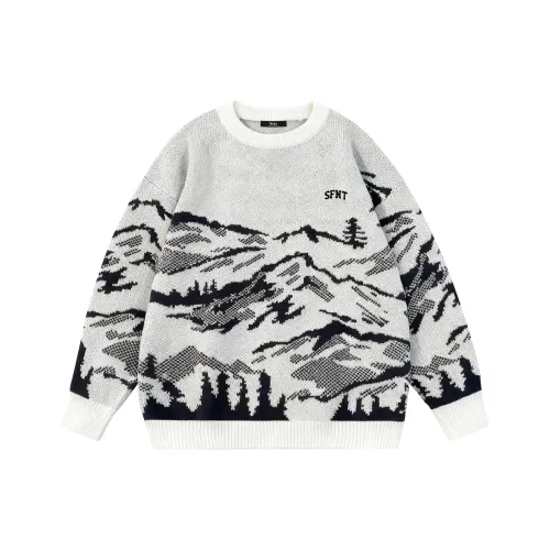 SFNT Унисекс Свитера