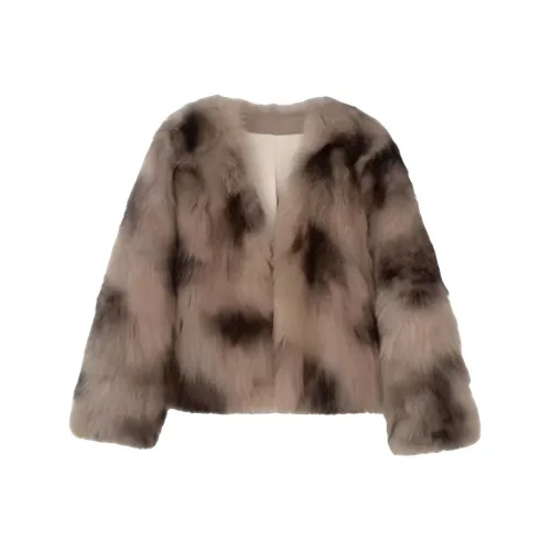 BVODE Серый Женские Бархатные Куртки