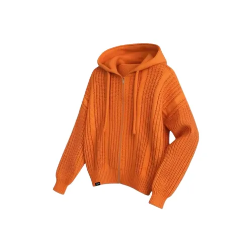 ICEGZ37 Оранжевый Унисекс Трикотаж