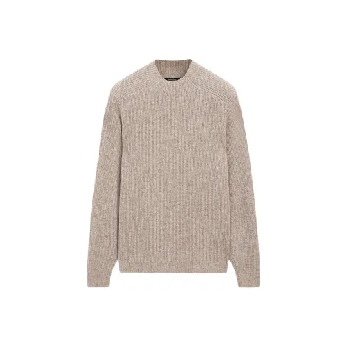 Massimo Dutti Коричневый Мужской Трикотаж