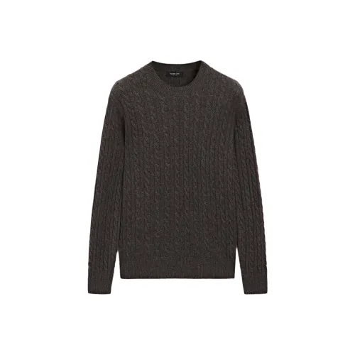 Massimo Dutti Коричневый Мужской Трикотаж