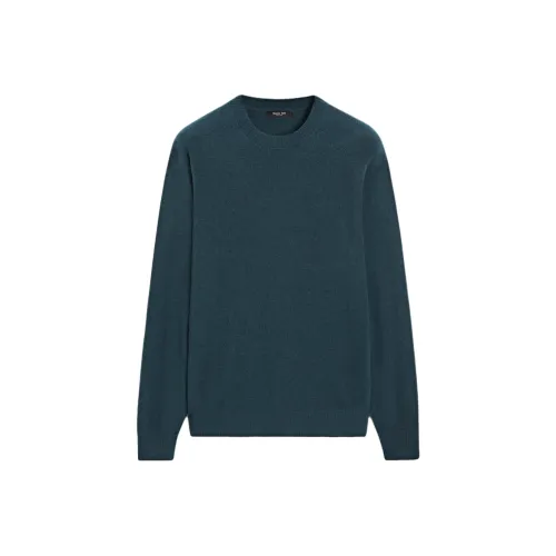 Massimo Dutti Синий Мужской Трикотаж