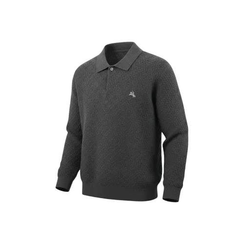 POLOMEISDO Унисекс Свитера