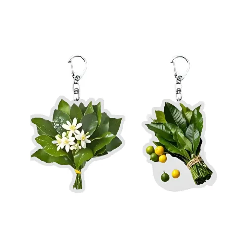 Lan Bao Fan Акриловая сумка аксессуар унисекс разноцветная