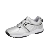 Серебристый