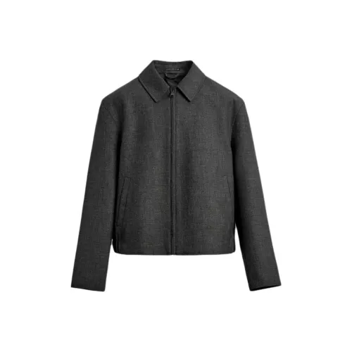 ZARA Collaboration Зебра с принтом Серый Мужской Куртка