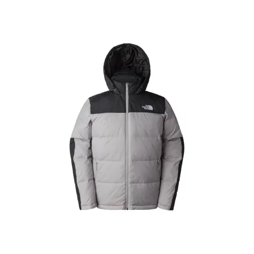 THE NORTH FACE Urban Exploration Пуховик Мужской Серый