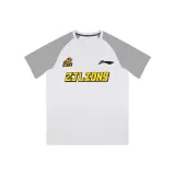 Гуаньша Команда, Светло-Серый