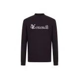 Фиолетовый сливовый