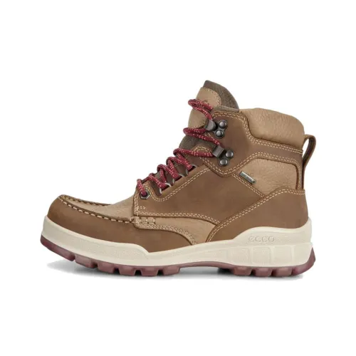 Ecco Track 25 Short Outdoor Women's Brown